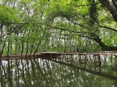 -西溪南古村落