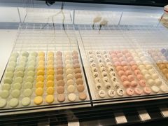 -BLACKSWAN黑天鹅(环球店)