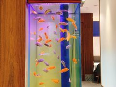 -半勺·新徽菜(银泰城店)