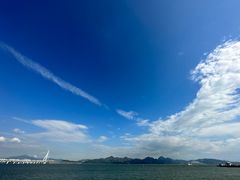 -深圳湾公园(南山区)