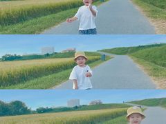 -光明小镇欢乐田园