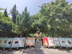 -莲湖公园