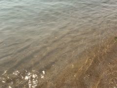 -秦皇岛阿尔卡迪亚滨海度假酒店