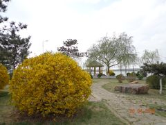 -丁香湖丁香小镇Citypark滑雪公园戏雪嘉年华