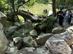 -绮园景区