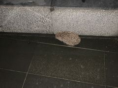 -苏州独墅湖书香世家酒店