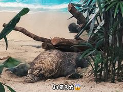 -广州长隆野生动物世界