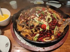 -老板恋上鱼(振华商厦店)
