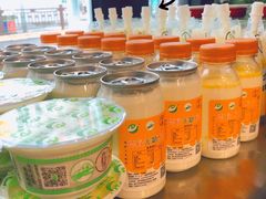 -德禄酸奶(莫家街店)