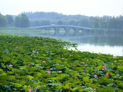 -清真·马坡烧烤涮牛肚·酸浆火锅(新区总店)