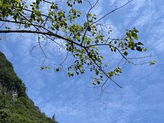 -神龙峡风景区