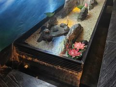 -大桶大足浴(宝山店)