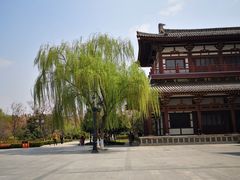 -西安青龙寺遗址景区