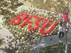 -北京外国语大学东院食堂