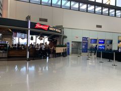 -纽瓦克自由国际机场