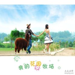 -飞鱼婚纱摄影(宏福大厦店)