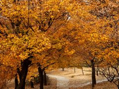 -国家植物园南园