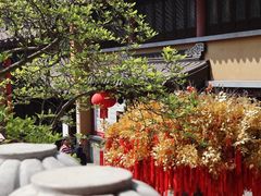 -灵谷景区