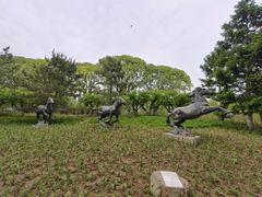 -元大都城垣遗址公园