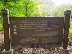-东湖落雁景区