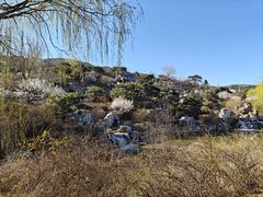 -北京西山国家森林公园