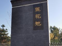 -莲花池公园