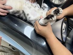 -御宝贝24h宠物医院·转诊中心·CT核磁血透中心(厦门总院)