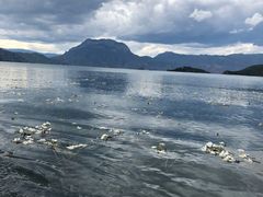 -丽江泸沽湖景区