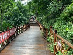 -大芦花风景区