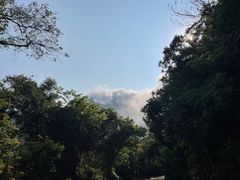 -梧桐山风景名胜区