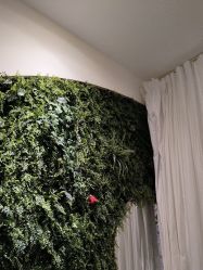 -香秀空间科技抗衰·美容中心