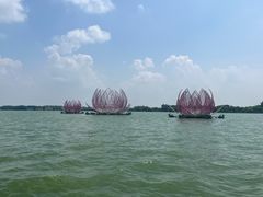 -溱湖国家湿地公园