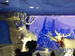 -海昌极光餐厅