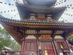 -庐山风景名胜区-东林大佛