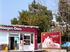 -哈根达斯(滨江店)