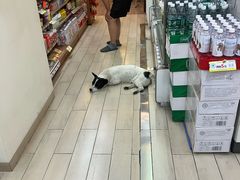 -全家便利店(锦里东路店)