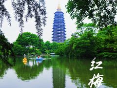 -红梅公园