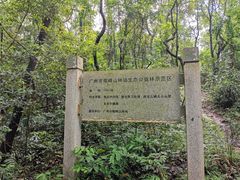 -广州市帽峰山景区