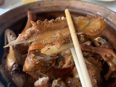 -百家春好德来姜母鸭