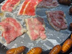 -燚青春东北泥炉烤肉(百合店)