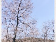 -棋盘山风景区