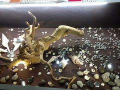 -石林冰雪海洋世界