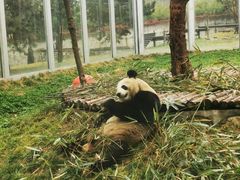 -西安秦岭野生动物园