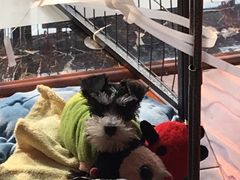 -惠康宠物医院(华能路店)