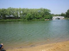 -大兴滨河森林公园