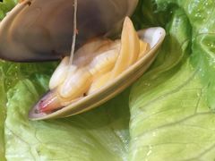 -燚青春东北泥炉烤肉(百合店)