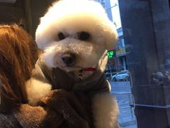 -八公叔叔宠物美容连锁(春申店)