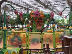 -南宫五洲植物乐园