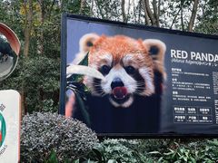 -成都大熊猫繁育研究基地