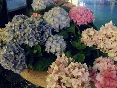 -那琴半岛地质海洋公园